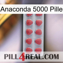 Anaconda 5000 Pill 18
